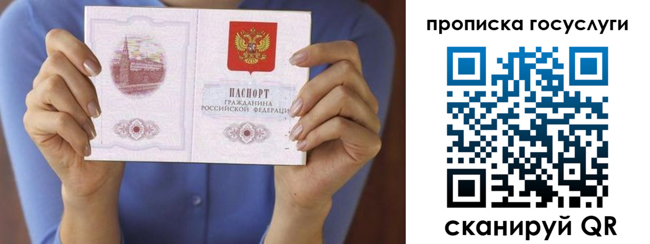 временная регистрация поиск в Павлово